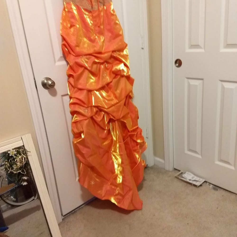 Prom/Formal Gown - Picture 6 of 8